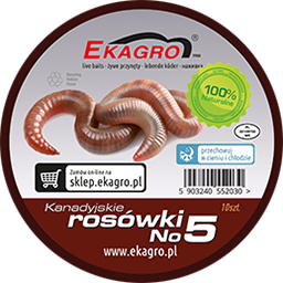Zobacz więcej